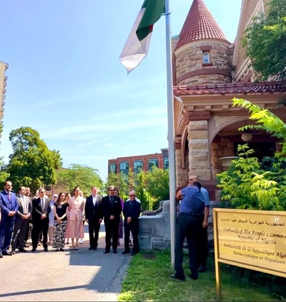 Ensemble de dessus de château d'anniversaire de 14 Algeria